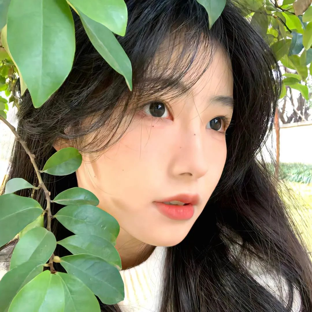美丽的青春